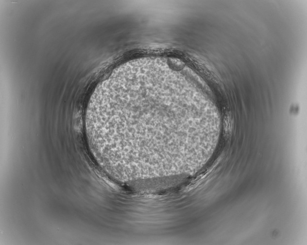 X0000093731204200711131029