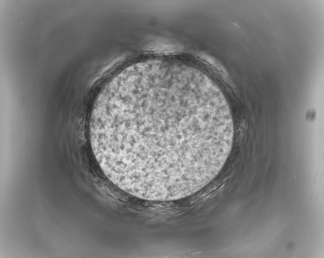 X0000093731205200711131029