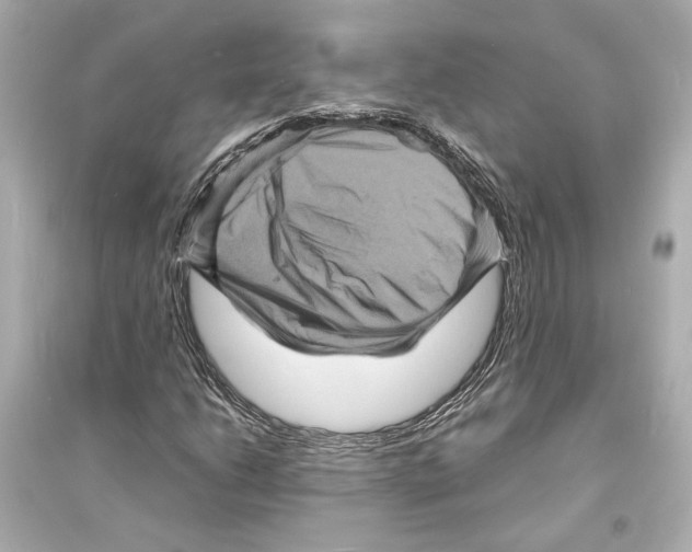 X0000093731206200711131029