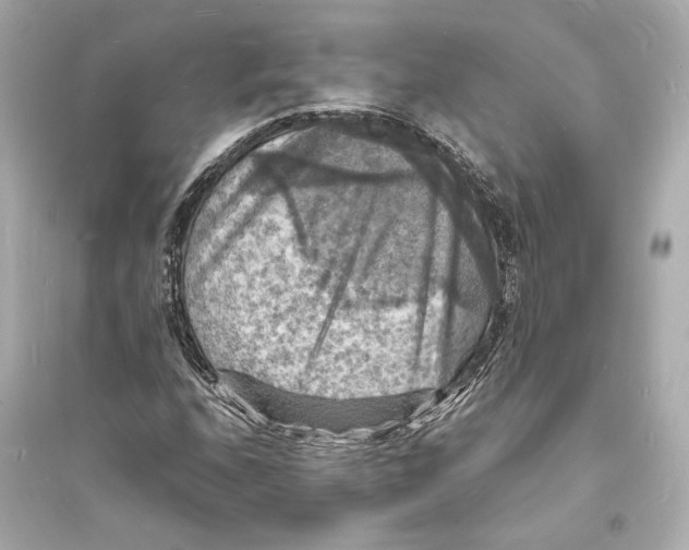 X0000093731208200711131029