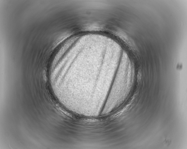 X0000093731209200711131029