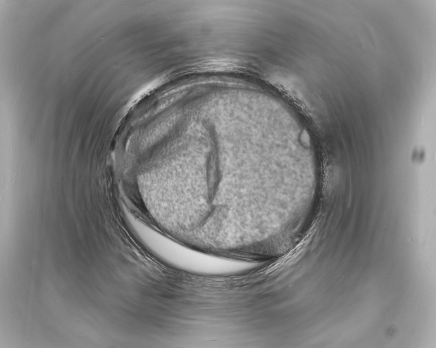 X0000093731210200711131029