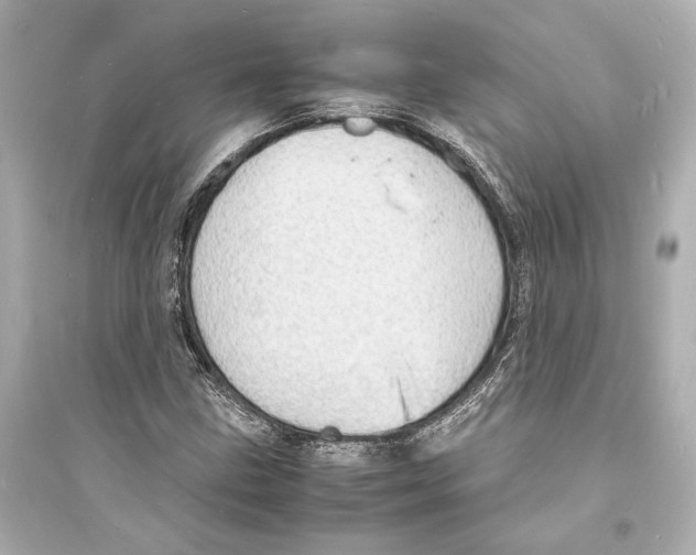 X0000093731211200711131029