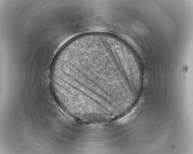 X0000093731212200711131029