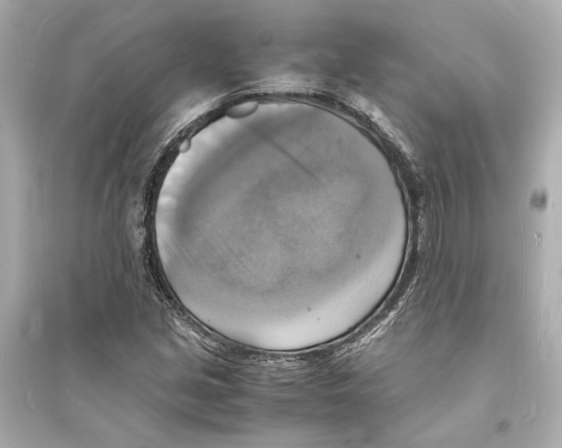 X0000093731213200711131029