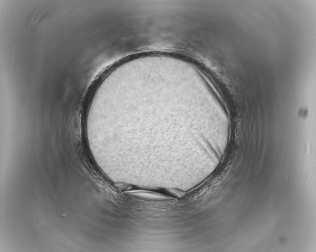 X0000093731214200711131029