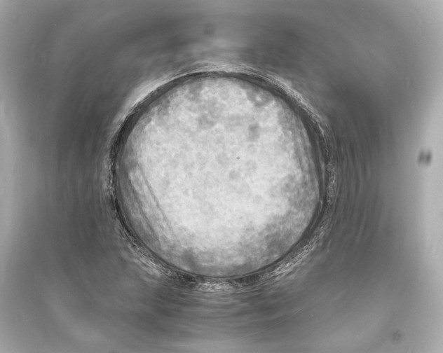 X0000093731215200711131029