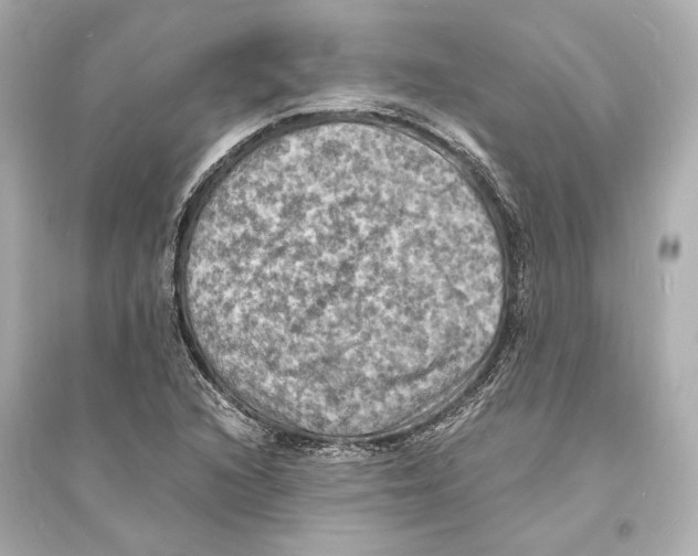 X0000093731216200711131029