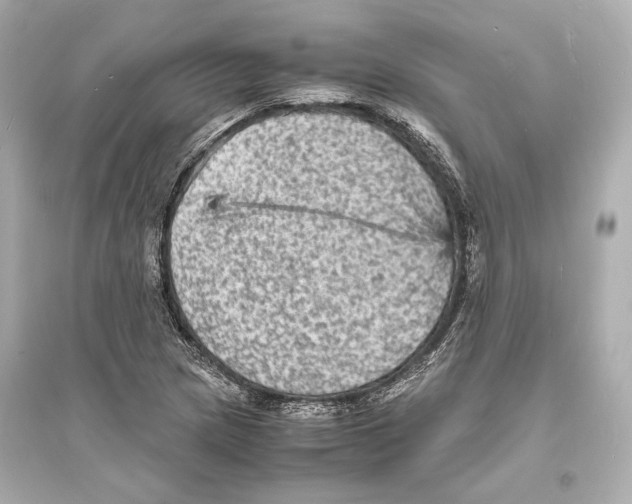 X0000093731217200711131029