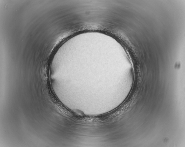 X0000093731218200711131029