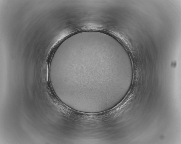 X0000093731219200711131030