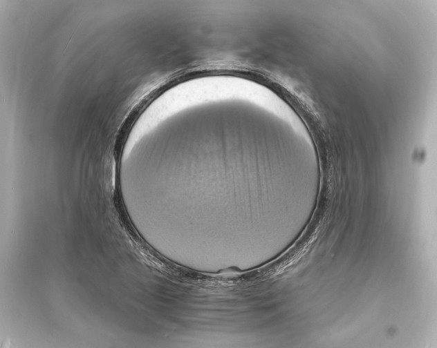 X0000093731221200711131030