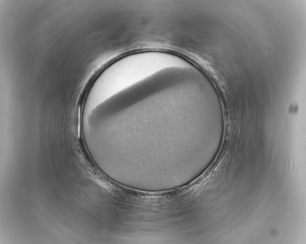 X0000093731223200711131030