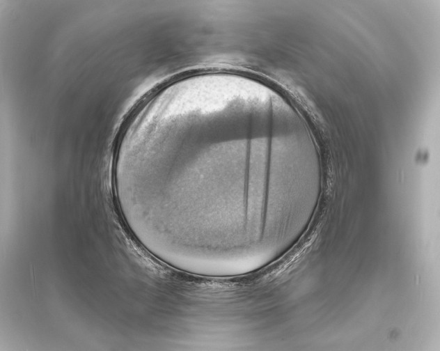 X0000093731224200711131030