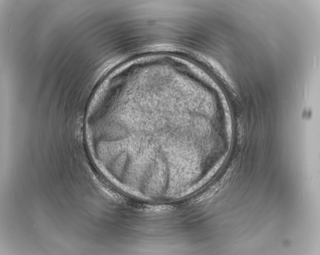 X0000093731225200711131030