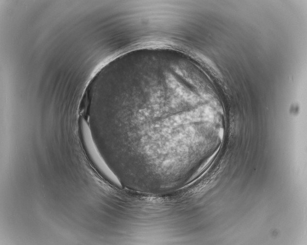 X0000093731226200711131030