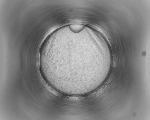 X0000093731227200711131030