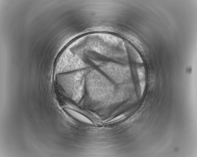 X0000093731228200711131030