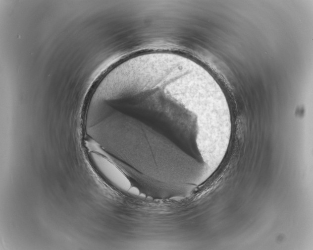 X0000093731229200711131030