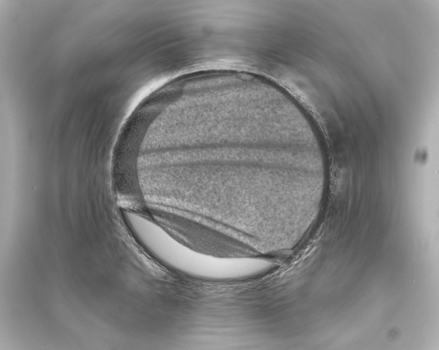 X0000093731230200711131030