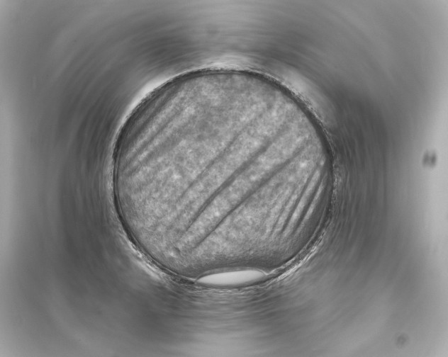 X0000093731232200711131030