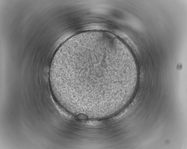 X0000093731233200711131030