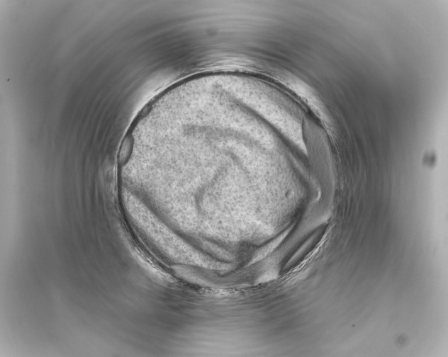 X0000093731234200711131030