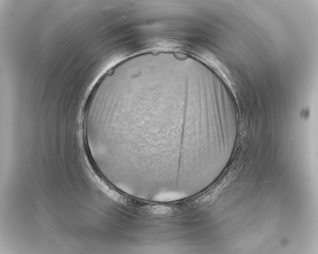 X0000093731235200711131030