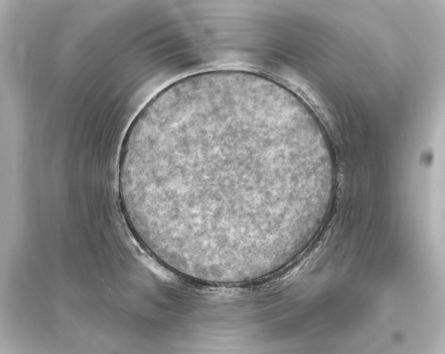 X0000093731236200711131030