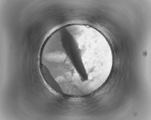 X0000093731237200711131030