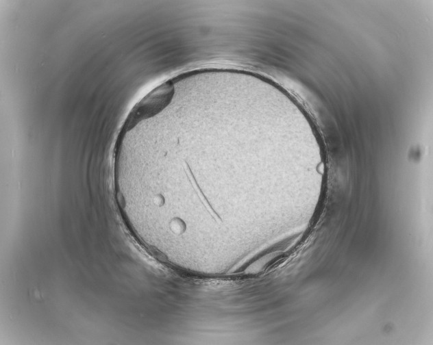 X0000093731238200711131030