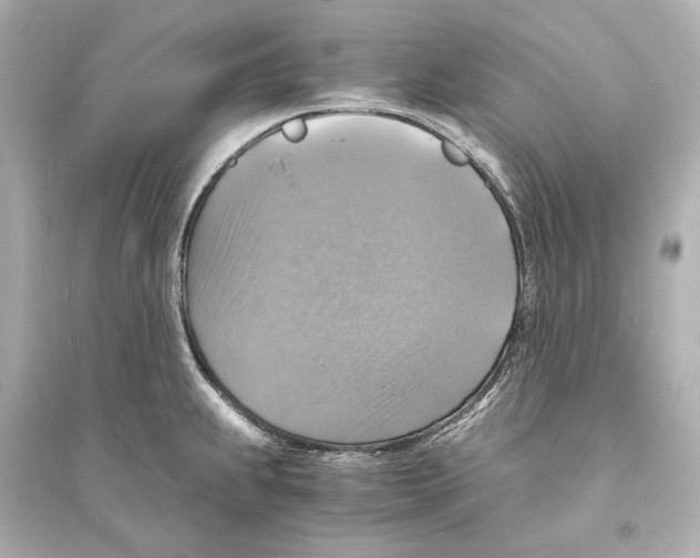 X0000093731239200711131030