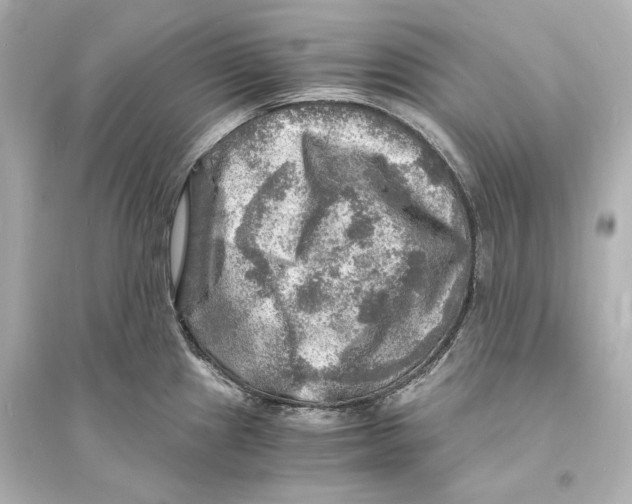 X0000093731241200711131030