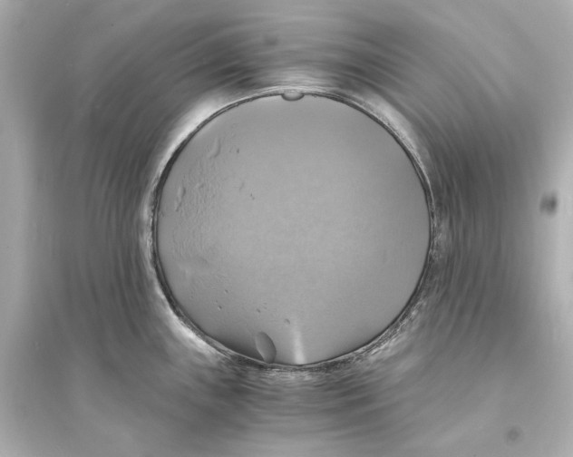 X0000093731243200711131030