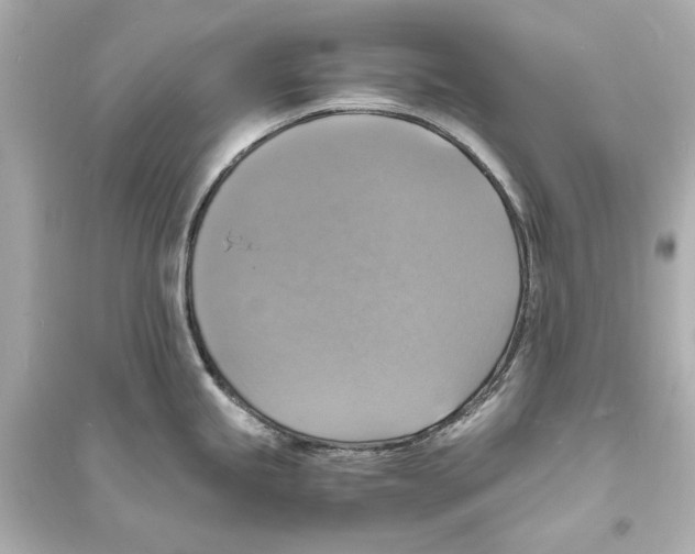 X0000093731245200711131030