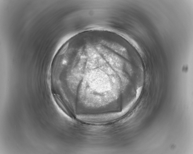 X0000093731247200711131030