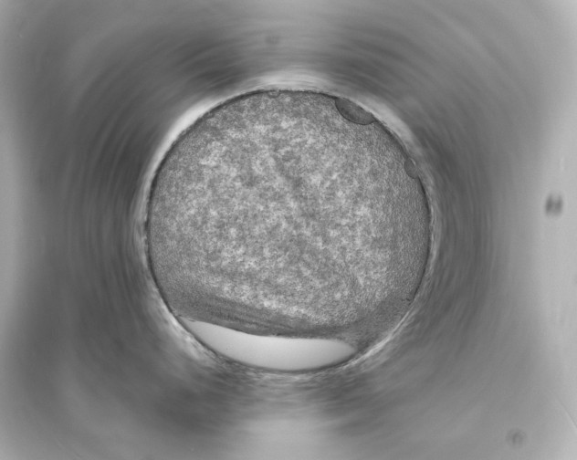 X0000093731248200711131030