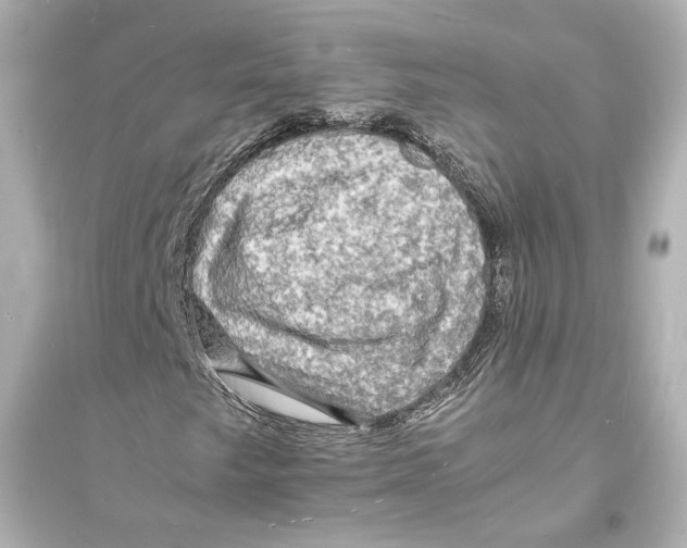 X0000093731249200711131029