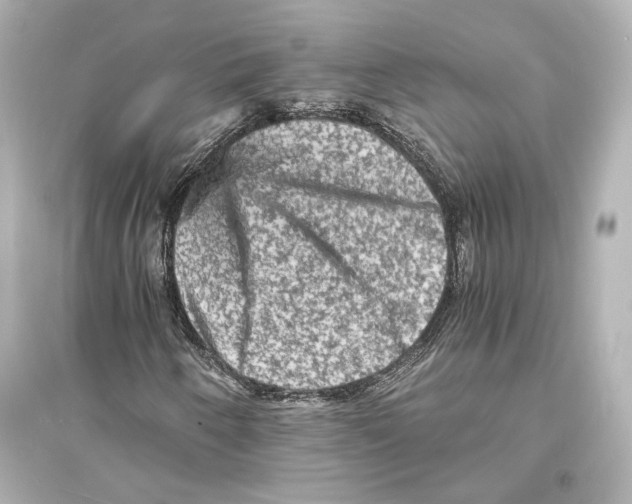 X0000093731250200711131029