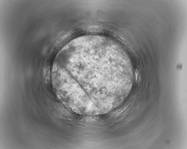 X0000093731251200711131029