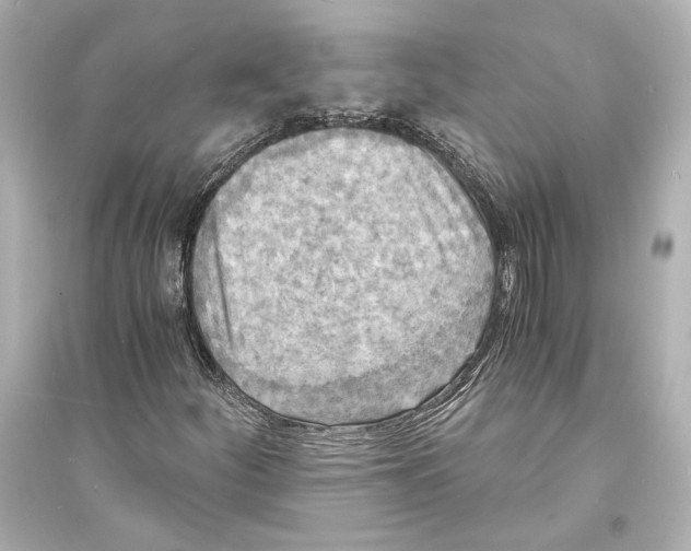 X0000093731252200711131029