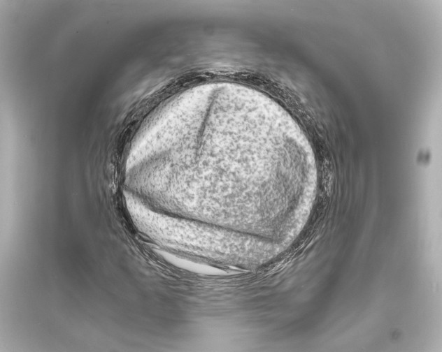 X0000093731253200711131029