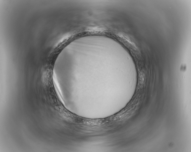 X0000093731254200711131029