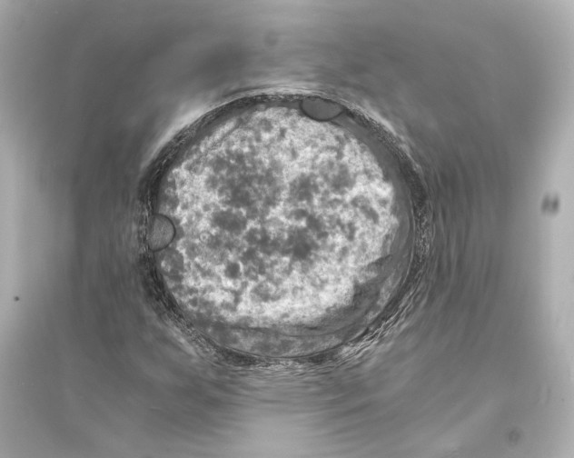 X0000093731255200711131029