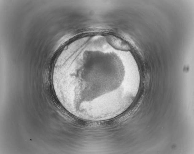 X0000093731259200711131029