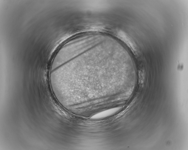 X0000093731260200711131029