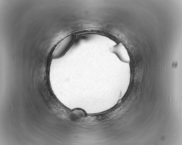 X0000093731261200711131029