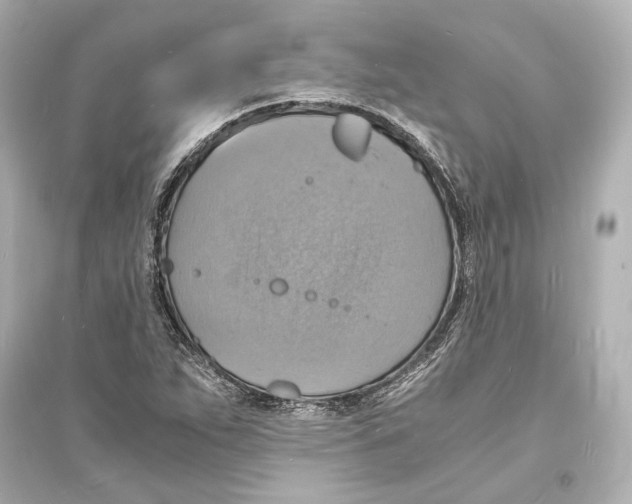 X0000093731263200711131029