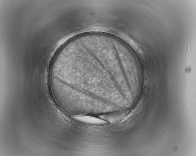 X0000093731264200711131029