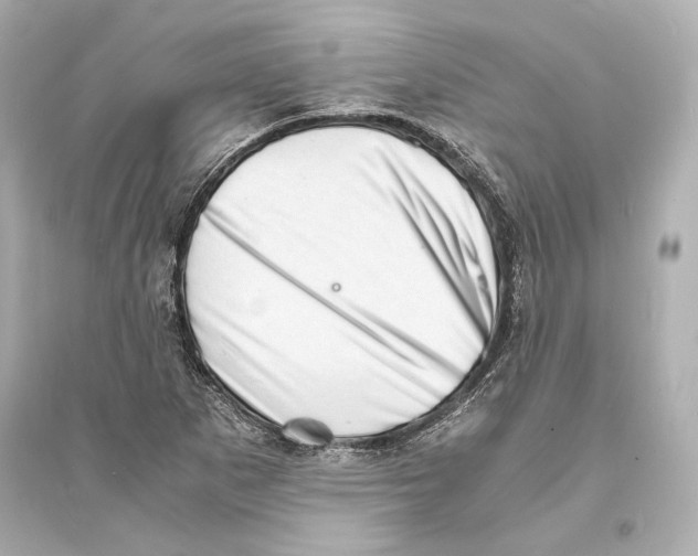 X0000093731265200711131029